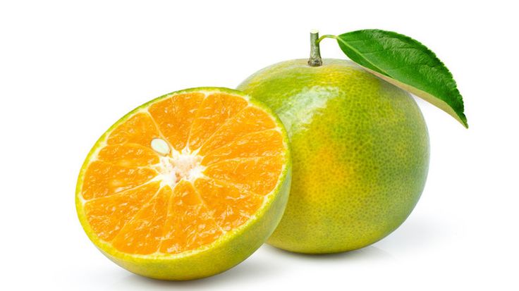 Oranges Local 6pcs
